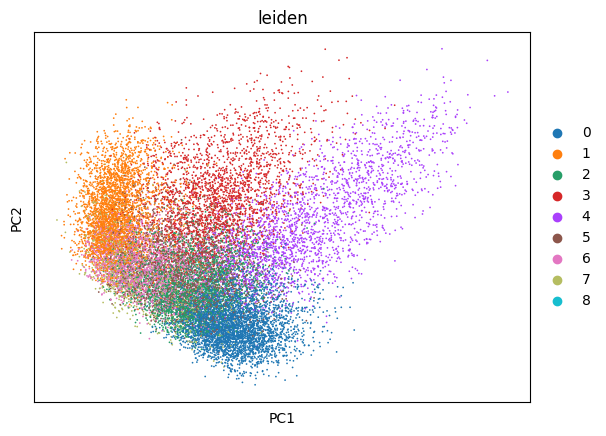 ../_images/Tutorials_stereo_seq_mouse_brain_low-res_8_1.png